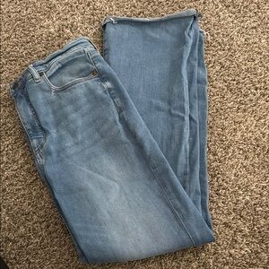 LOFT Light Blue Denim Jeans
